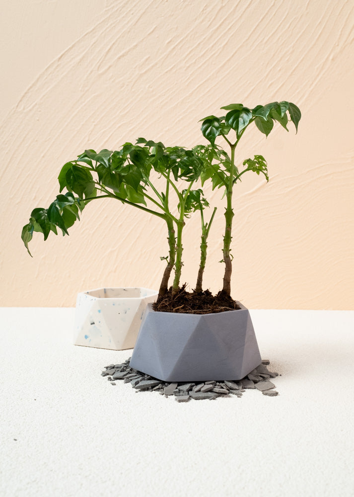 jesmonite plant pot Spellroom GEOM-Planter Pot DIY Kit